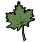 Picture of Pimmit Hills Leaf